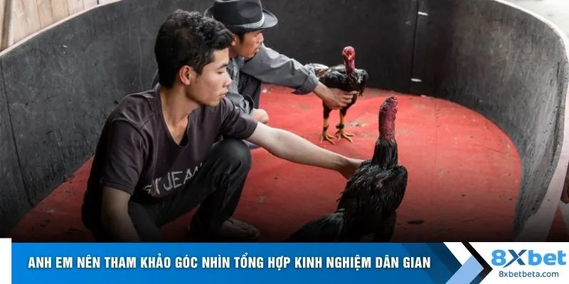 Anh em nên tham khảo góc nhìn tổng hợp kinh nghiệm dân gian 
